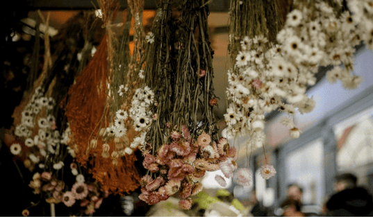 làm hoa khô bằng cách treo lên